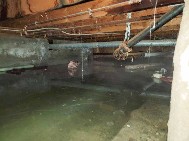 Professional Water damage restoration in AZ