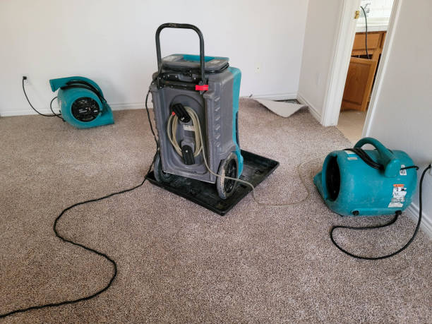 Best Flood damage cleanup  in Parker, AZ