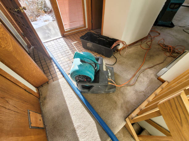 Water damage restoration insurance claims in AZ