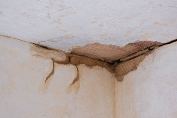 Best Ceiling water damage repair  in Parker, AZ