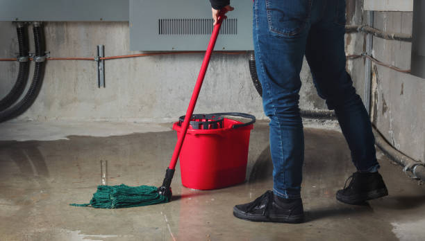 Best Water damage restoration near me  in Parker, AZ