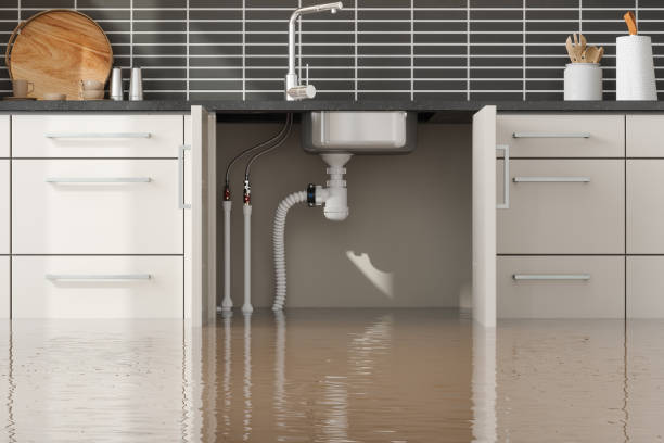 Carpet water damage restoration in AZ