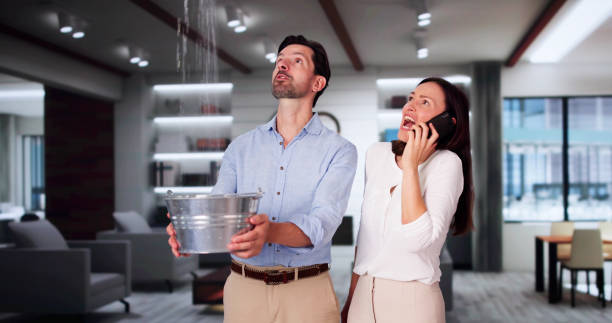 Best Water damage contractors near me  in Parker, AZ